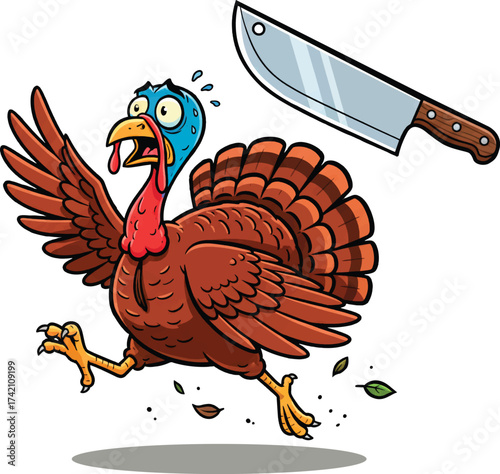 Thanksgiving Day Scared Wild Turkey Running From Butcher Knife