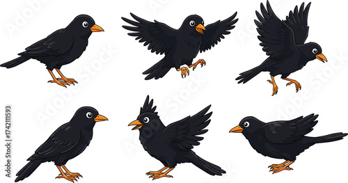 Cartoon illustration of black crow bird in different poses, flying, standing, sitting and spreading wings, wildlife animal design for nature concept