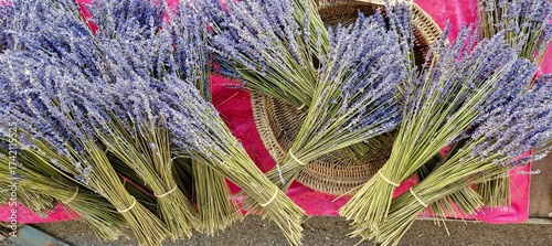 Austrian lavender stems drying in a barn, traditional method for making dried flowers. The stems are tied upside down. Bunches of aromatic purple dried lavender or lavandin flowers for sale in shop.