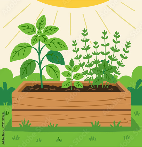 plant in a wooden box