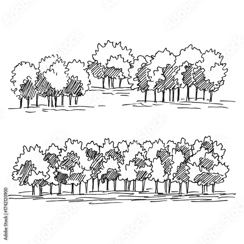 Set, nature illustration with forest. Hand drawn vector.