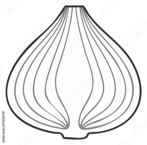 Onion illustration, black and white outline.