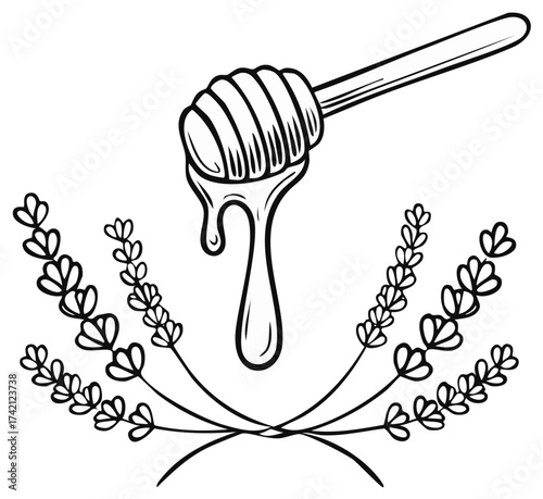Outline drawing of honey dipper with dripping honey and delicate lavender blossoms