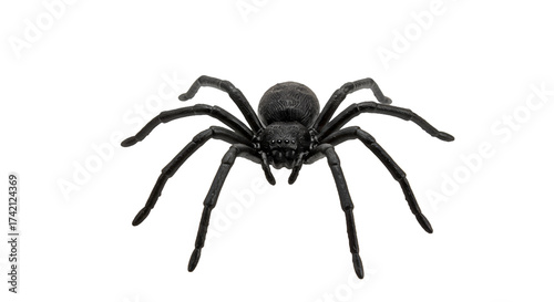 Intense Close up of a Detailed Black Spider on a Dark Background