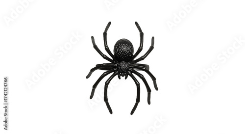 Single Black Spider on a Dark Reflective Surface, an Ominous Halloween Decoration