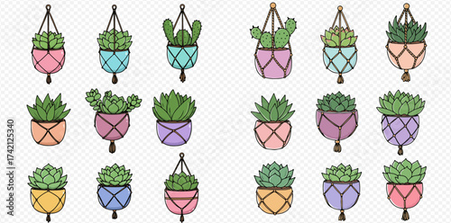 Collection of hanging plants in macrame planters, colorful and decorative.