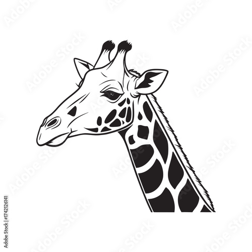 Giraffe icon simplified giraffe head in fl vector silhouette on white background