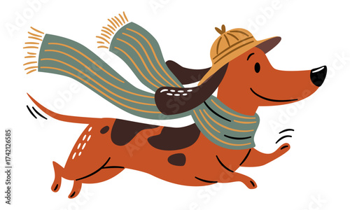 A cute dachshund wearing a hat and scarf runs on a white background. Flat vector illustration. . Vector illustration