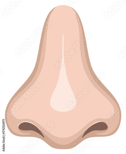 Vector illustration of a human nose from the front. Isolated anatomical body part icon.