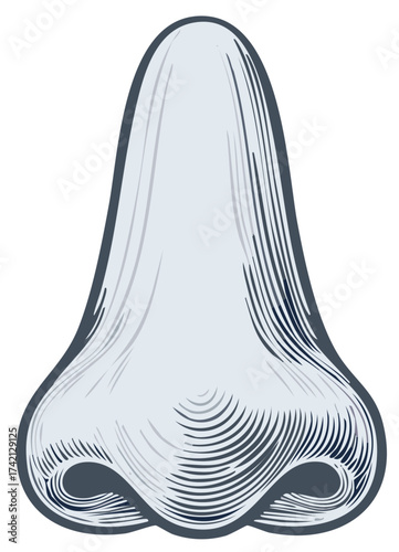 Detailed vintage engraved style illustration of a human nose with distinct nostrils and bridge anatomy
