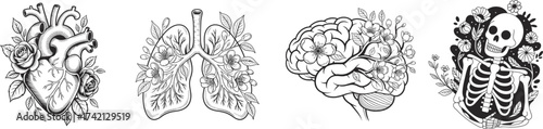 Human organs with floral, vector illustration.