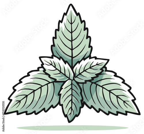 Aromatic Mint Leaves Cartoon Illustration for Culinary and Natural Freshness Concepts