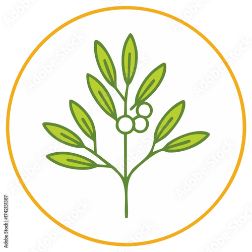 Christmas mistletoe sprig with berries vector icon for holiday decoration