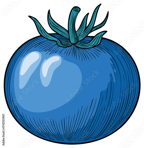 Isolated blue tomato illustration showing vegetable, healthy food, and agriculture, food source concept for recipe and menu ideas