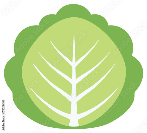 Cartoon Cabbage Flat Vector Icon Fresh Greens Raw Vegetable Design