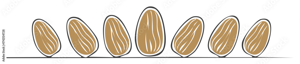 Obraz premium Artistic stylized almond illustrations in a row on a line