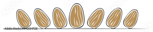 Artistic stylized almond illustrations in a row on a line