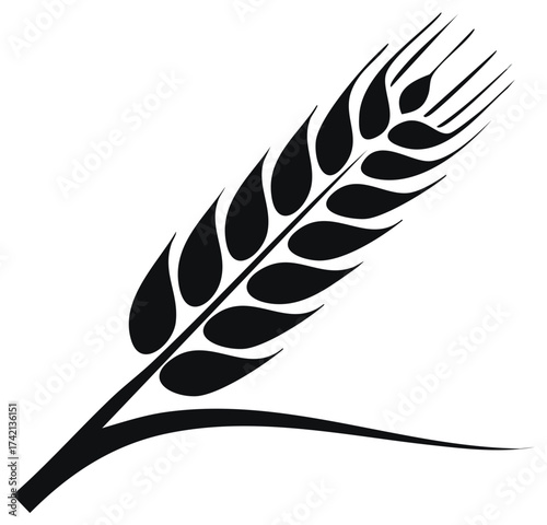 Wheat ear vector silhouette single plant grain harvest sign symbol isolated