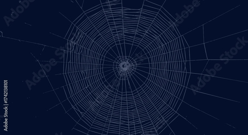 A Detailed Close Up View of a Perfectly Formed Spiderweb Illuminated by a Subtle Light Source Against a Dark Blue Background