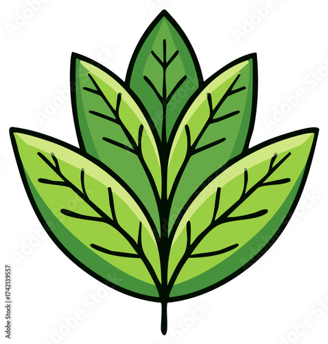 Green leaf design with visible veins for natural organic concepts and spring season themes