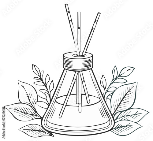 Line art illustration of an aromatherapy reed diffuser with botanical leaves