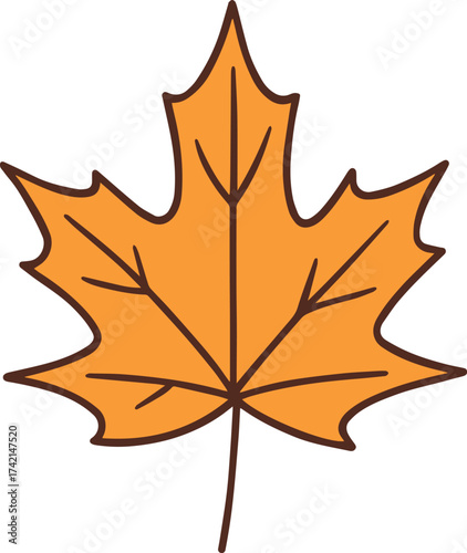 Illustration of a vibrant maple autumn leaf.