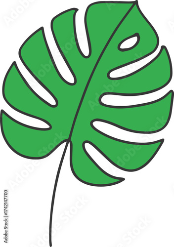 Illustration of a green monstera leaf.