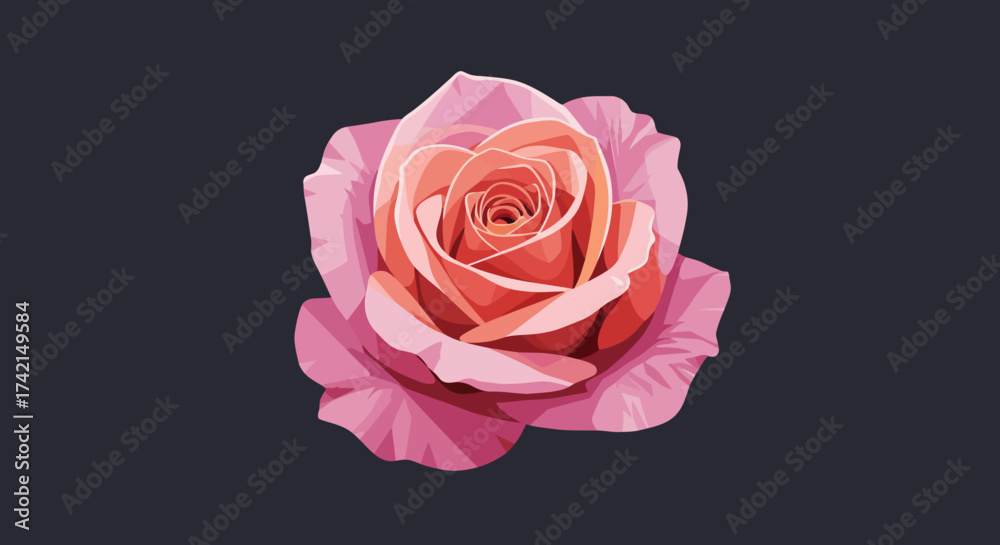 Fototapeta premium Vector Illustration of a Pink Rose Blossom with Detailed Petals.