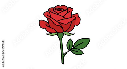 Cartoon Red Rose with Green Stem and Leaves Illustration.