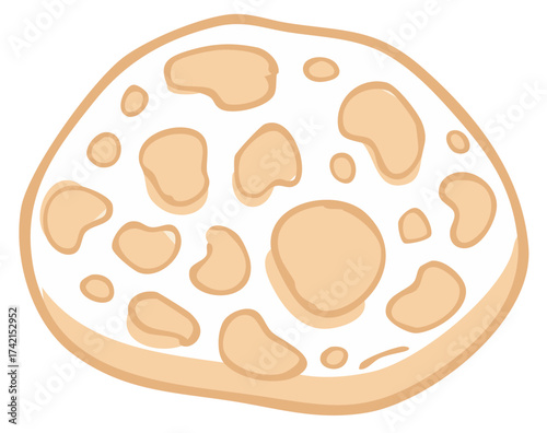 Simple Fresh Chapati Flatbread Hand Drawn Style Illustration Tasty Round Wholemeal Bread