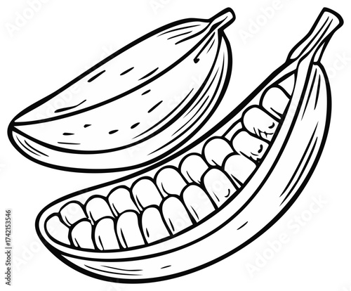 Detailed black and white drawing of two open pea pods filled with peas, one pod next to a closed pod.