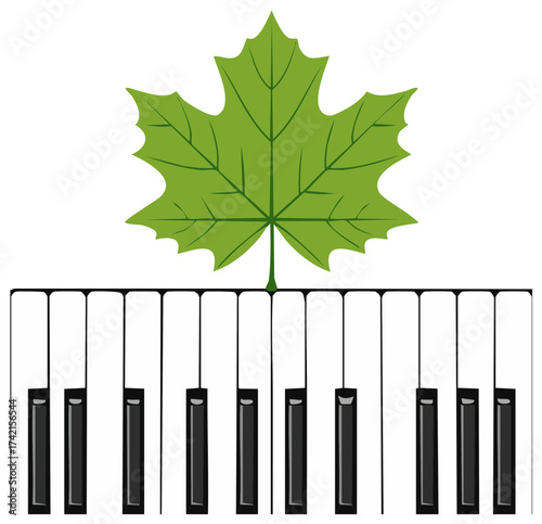 Green maple leaf illustration positioned above a musical piano keyboard, uniting nature and melodic harmony.