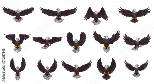 Illustrative Set of Bald Eagles in Dynamic Flight Poses, Wings Spread and Talons Extended, Isolated on White, Flat Vector Elements, Vector Illustration, Simple Vector, Stylized Vector Drawing, Vector