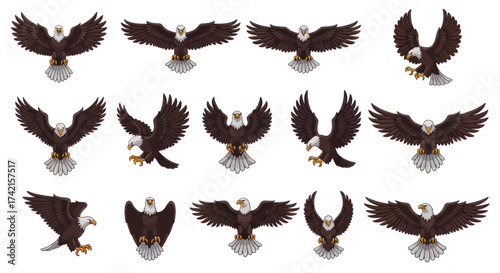 Vector Illustration Set of Majestic Bald Eagles in Dynamic Flight, Landing, and Front-Facing Poses, Suitable for Seamless Pattern Design, Flat Vector Elements, Vector Illustration, Simple Vector,