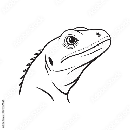 Lizard head icon minimalist lizard face silhouette on white background