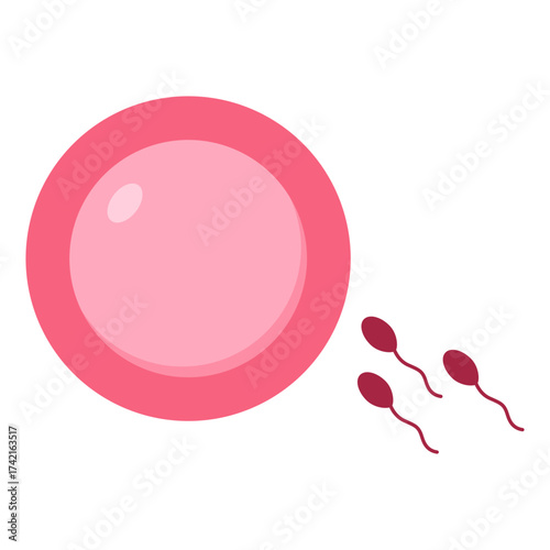 World contraception day illustration. Types of contraception. Sperm and egg cell. Vector illustration.