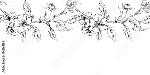 Cherry sakura apple white flower and bud with plant leaves on branches, hand drawn vector ink, wildflower botanical illustration. Seamless isolated banner, for scrapbooking, wedding, florist shop