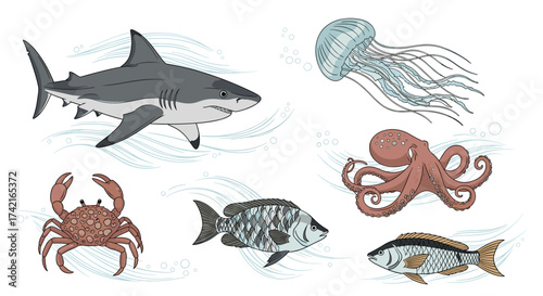 A collection of various marine animals swimming in the ocean water.