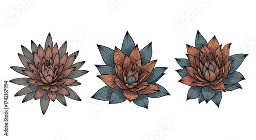 A collection of three stylized autumnal floral illustrations with muted tones and textured petals.