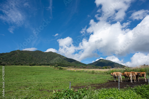 日本の岡山県真庭市の蒜山高原の美しい風景