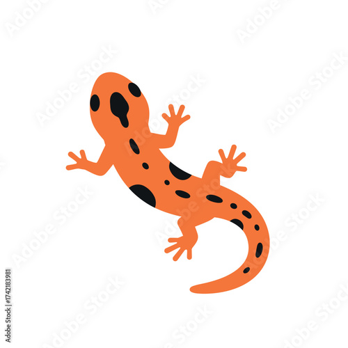 Cute orange salamander with black spots cartoon illustration.