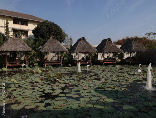 Discover a serene retreat with traditional huts surrounded by beautiful water lilies