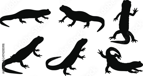 Silhouette lizard illustration, reptile animal design, gecko vector art, wildlife graphic, exotic creature pose, nature symbol, tropical fauna artwork