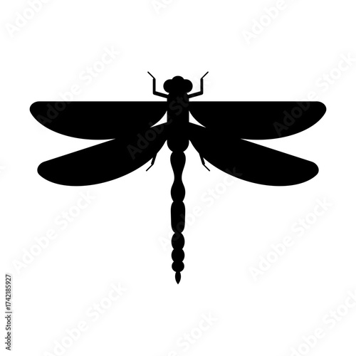 Dragonfly svg cut file. Isolated vector illustration.