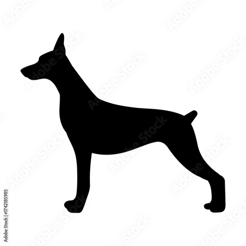 Doberman dog svg cut file. Isolated vector illustration.