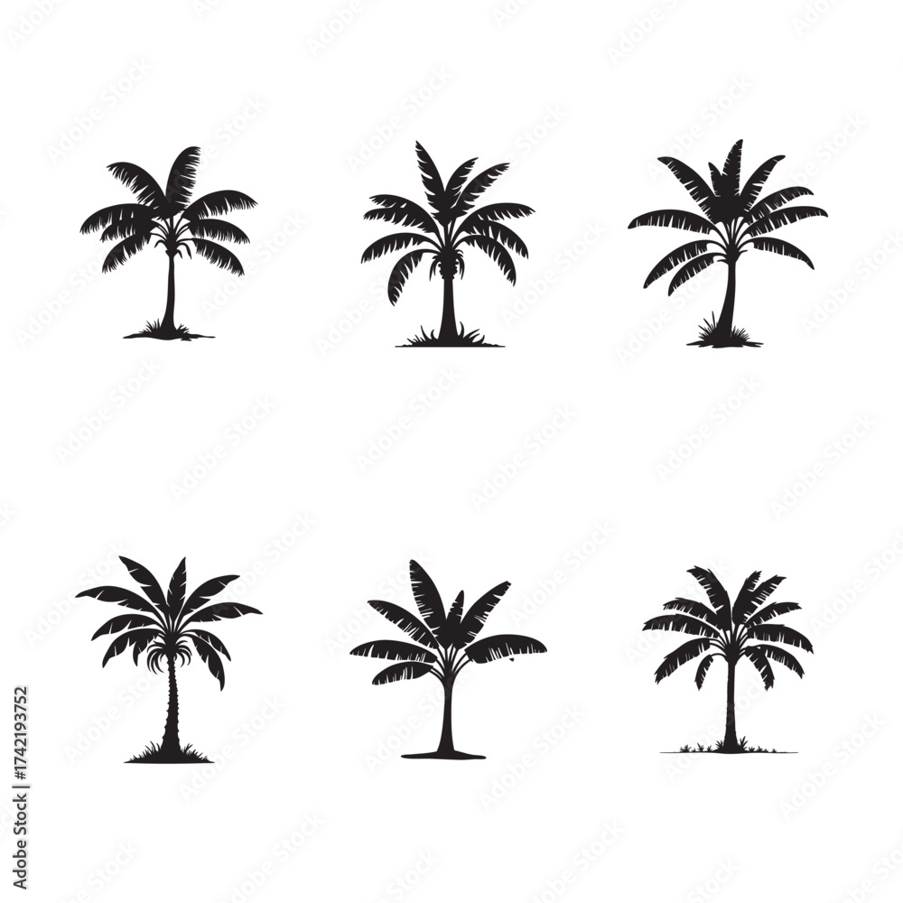 Fototapeta premium Silhouette of banana tree icon vector on white background