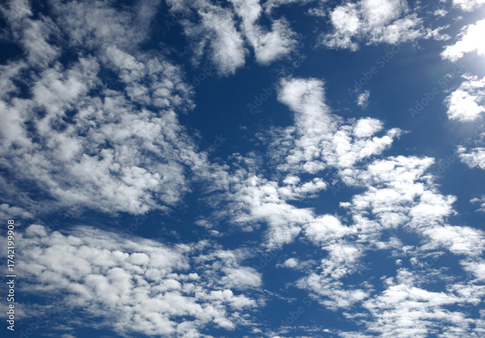 Fototapeta premium An expanse of deep blue sky filled with scattered white cumulus clouds of varying sizes.