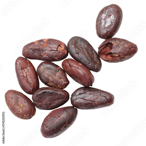 A pile of raw cocoa beans on a transparent background. 