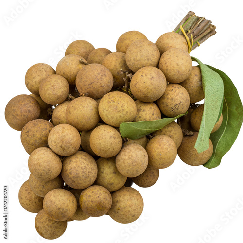 Fresh bunch of longan fruit on a transparent background. 