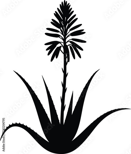 Black silhouette of a blooming aloe vera plant with spiky leaves and tall flower stalk